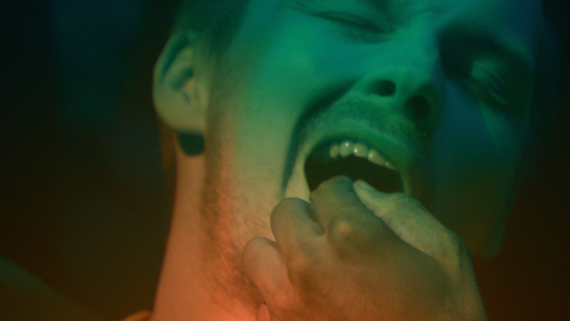 The Wisdom Tooth